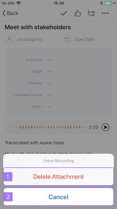 Screenshot with focus on option to remove audio from task