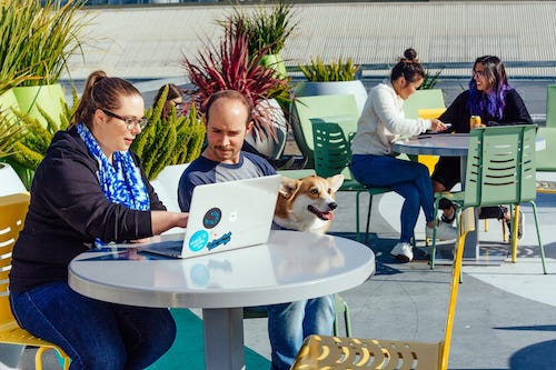 How AdRoll’s Head of Product Marketing completed 752 Asana tasks in one year 