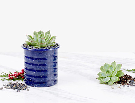  Meet BloomThat: Delivering delight on Admin day with Asana 