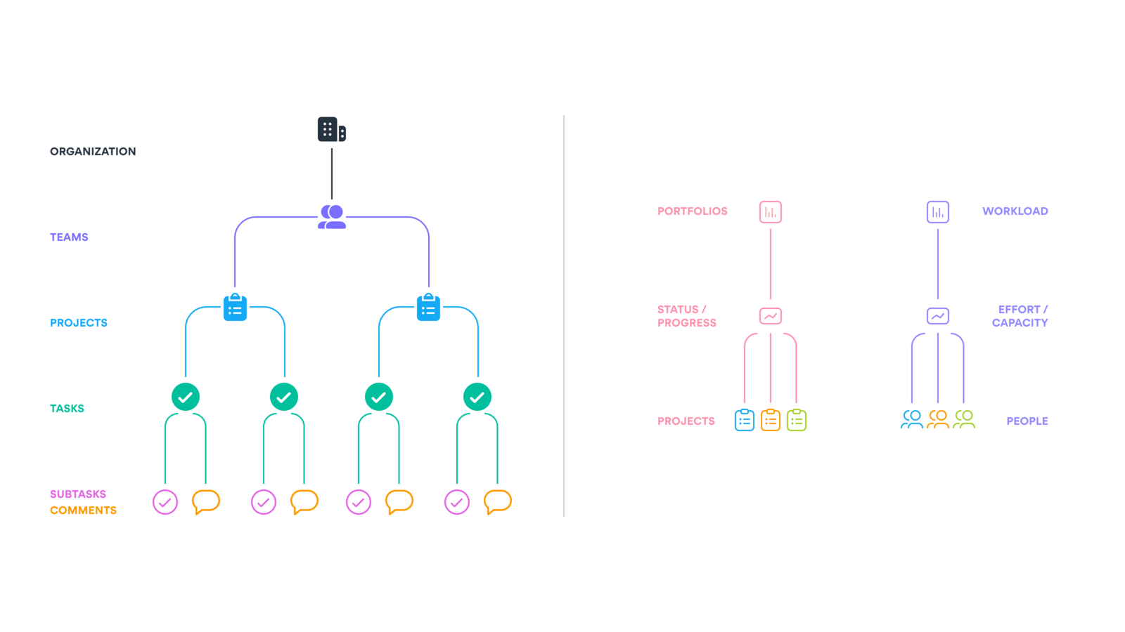 Обзор структуры Asana