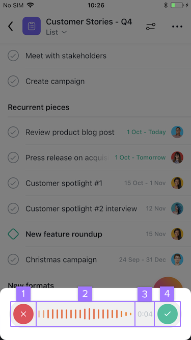 Screenshot with focus on options available while recording audio