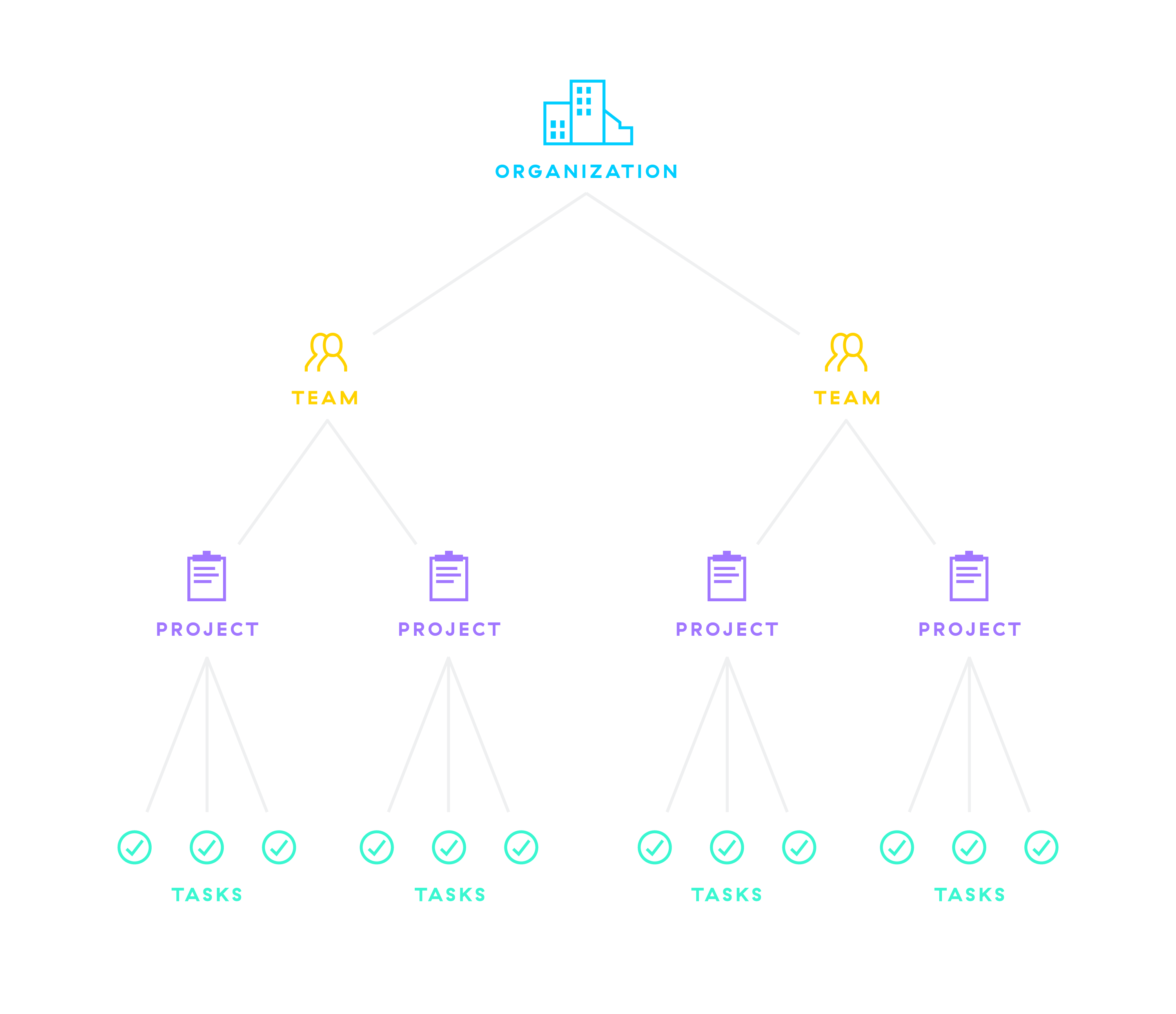 Asana Org Chart