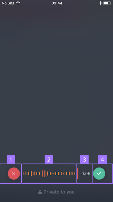 Screenshot of recording in progress with focus on elements